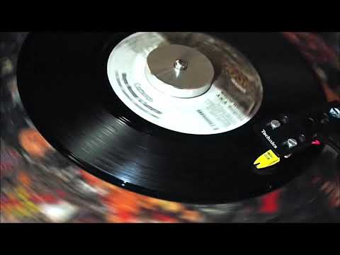 Wayne Wonder & Surprise - Curious【 Reggae Vinyl Records 】