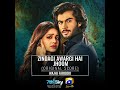 Zindagi Awargi Hai Jhoom Original Score