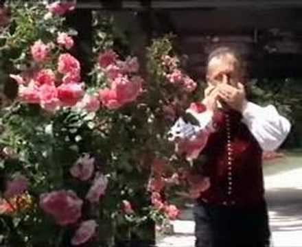 Ansambel Slovenija - Tebi, Slovenija