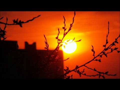 Vitodito feat. Kayleen - Trampas (Sedi Remix)