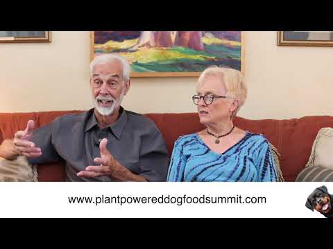 download lagu mp3 mp4 Pitcairn Dog Food Recipes, download lagu Pitcairn Dog Food Recipes gratis, unduh video klip Pitcairn Dog Food Recipes