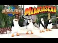 Universal Studios Singapore Madagascar Boogie