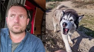 Burglar Tried to Break In While We&#39;re In Bed Asleep! Nope It Was Just My Husky!!