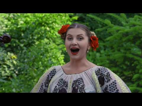Adelina Fulga  si Orchestra Fraților Ștefăneț - Ca la Dumbrăvița