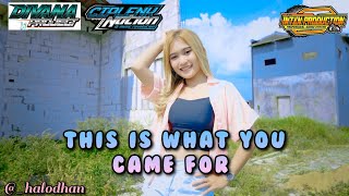 Download lagu DJ GOYANG WHAT CAME FOR INTAN PRODUCTION ft DIVANA PROJECT - CIPLENK NATION mp3