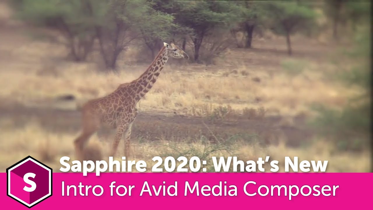 Sapphire 2020: Intro to New Features for Avid Media Composer