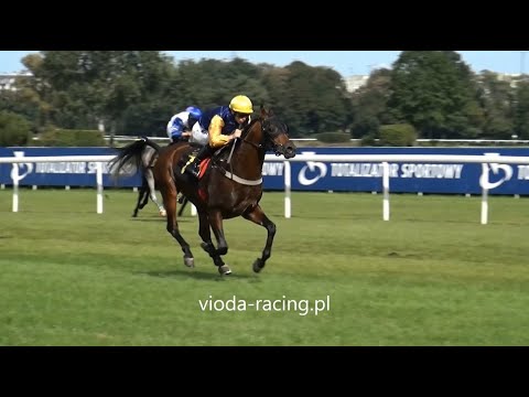 Gon. II (N. Gangesa)  - 20.09.2020 - Magic Algazal (Gazal Al Shaqab - Ale by Magnifique)