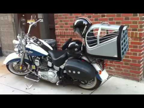 Pet carrier on motorcycle