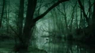 The Virus by The Horrorist