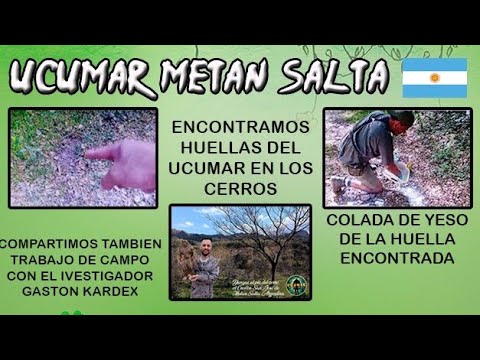 “Algo increíble e inesperado en las yungas de salta… y nos dio más motivos para seguir adelante.”