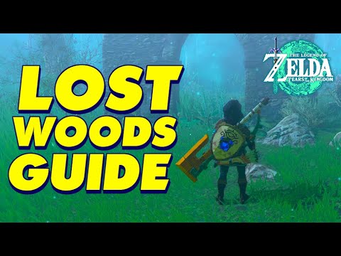 LOST WOODS GUIDE ZELDA: TEARS of the Kingdom | Legend of Zelda Tears of the Kingdom Gameplay #TOTK