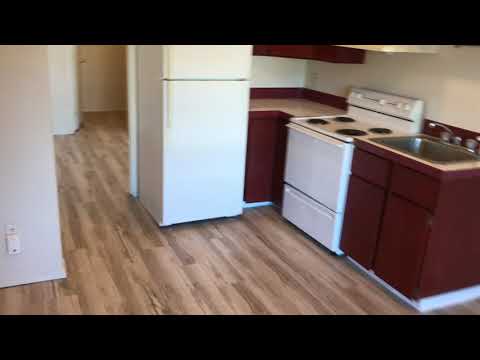 ANDRT01 - Video 2 of 2