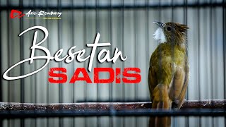 Download lagu MASTERAN CUCAK JENGGOT GACOR BESETAN RAPET mp3 Download lagu MASTERAN CUCAK JENGGOT GACOR BESETAN RAPET mp3