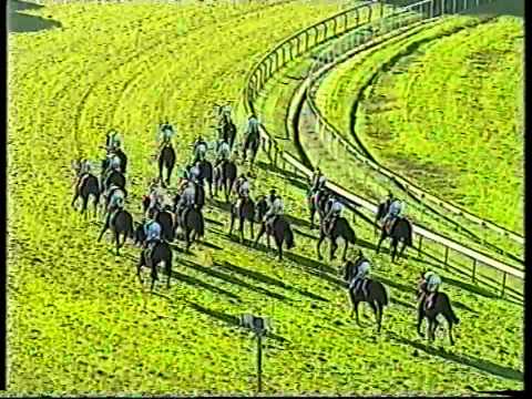 Adam - Stradbroke Handicap Gr.1