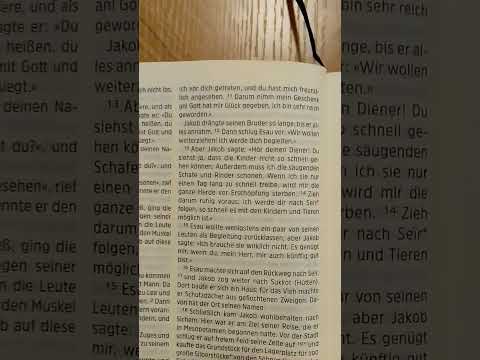 Tag 33 - Bibel Lesen