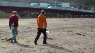 preview picture of video 'Rolan Logan Walking on Zushi Beach in Japan'