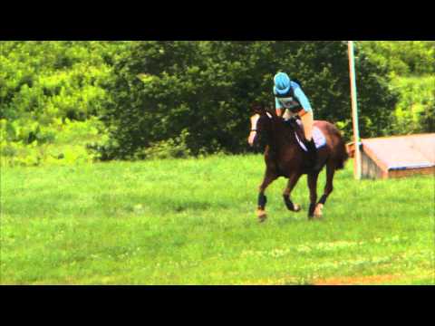 Emily Rzucidlo "Somestarsomewhere" Plantation Field Horse Trials, XC/T 6/6/2015