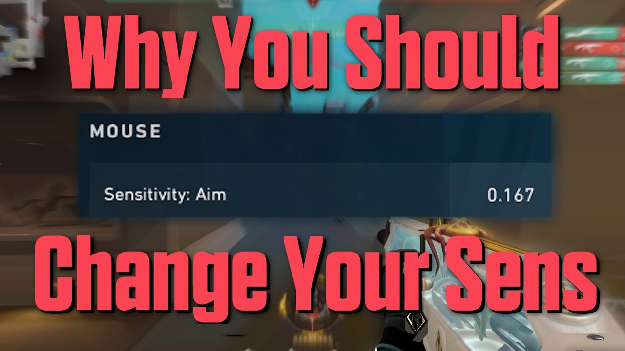 Muscle memory is a myth (kinda)