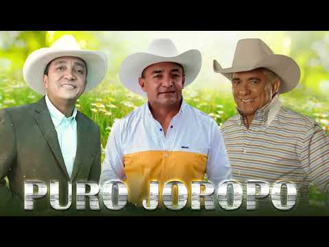 REYNALDO ARMAS/VITICO CASTILLO/JORGE GUERRERO/PURO JOROPO MIX/MERLINRECORD