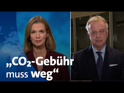 Evonik-Chef warnt: Klimapolitik der EU gefährdet Arbeitsplätze | tagesthemen-Interview