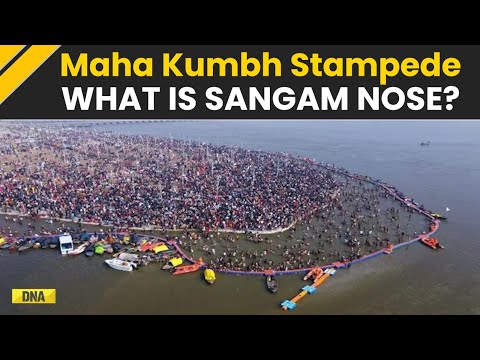 MahaKumbh Stampede: Why Devotees Want To Take Holy Dip On 'Sangam Nose', Where Stampede Took Place?