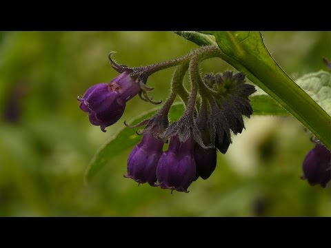 Panasonic Lumix TZ81 with leather case - Image 2