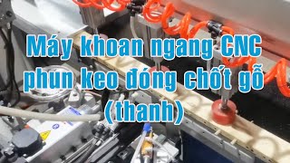 Máy CNC Khoan ngang, tra keo đóng Chốt gỗ tự động Woodmaster