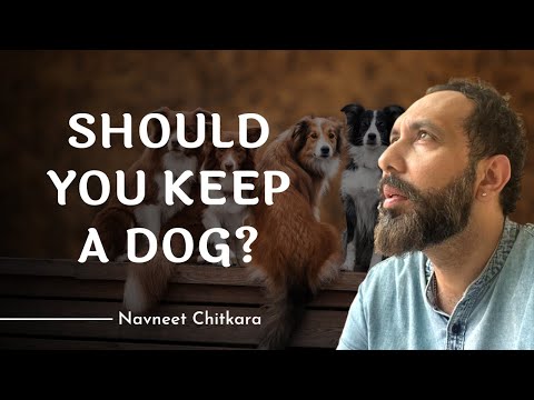 Should You Keep A dog? | Vedic Astrology Reveals | Astro Scientist Navneet Chitkara