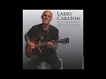 Larry Carlton    Only The Strong Survive