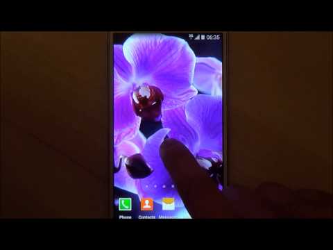 Orchids Live Wallpaper Video