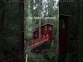 3 cabins you need to stay at in British Columbia! 🌲 Which one is your favourite?