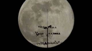 Luna gianni togni 1980? español