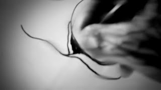 saltillo - remember me