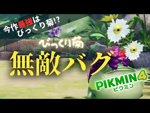 【ピクミン4】バグでびっくり菊が不死身になります。【バグ】