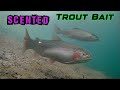 Video Thumbnail for Can’t Catch Trout? Try This Technique! Crazy Underwater Footage