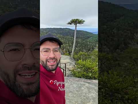 Parque Nacional Nahuelbuta - Piedra del Águila #chile #naturaleza