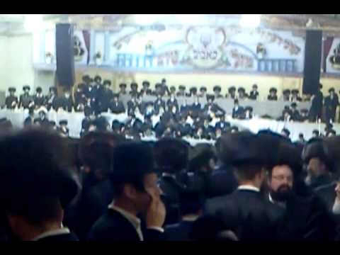 Bobov 45 wedding small crowd
