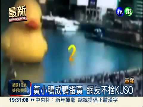 黃色小鴨"爆"消! 夢想鴨代打暴紅