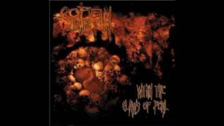 Coffin Birth - The Well of Purgatory