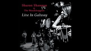 Sharon Shannon - The Bungee Jumpers: The Fisherman's Lilt / Dedicato A Vares / Rodney Miller's Tune