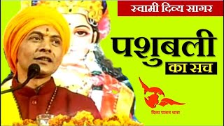 #SwamiDivyaSagar_Animal_Sacrifice यह है पशुबलि की सच्चाई : स्वामी दिव्य सागर - Download this Video in MP3, M4A, WEBM, MP4, 3GP