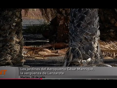 Los jardines del Aeropuerto César Manrique, la vergüenza de Lanzarote