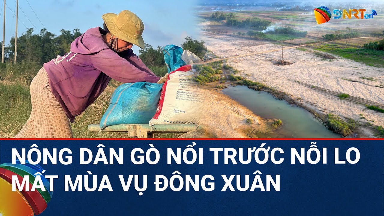 CHÀO NGÀY MỚI | Cát phủ kín ruộng đồng ở Đà Nẵng, nông dân thẫn thờ bên sông Thu Bồn loang lổ