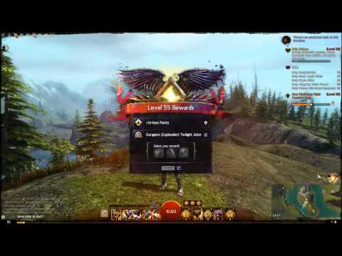 Guild Wars 2 [Level Up Rewards] Level 55