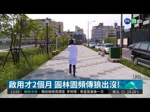 彰化圓林園"熊抱狼" 竟是國中生!