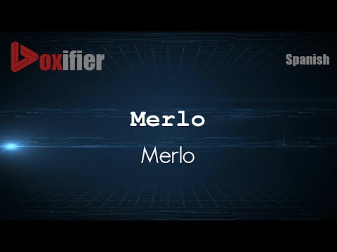 How to Pronounce Merlo (Merlo) in Spanish - Voxifier.com
