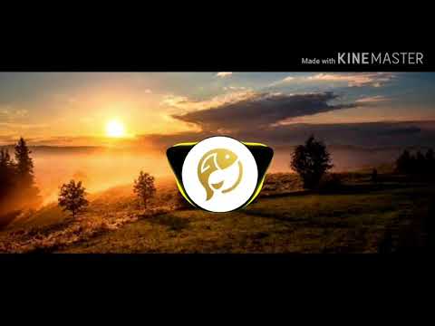 Coming Home | Dash Berlin feat. Bo Bruce | The Golden Fish Empire