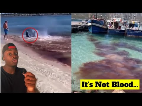 The Good, Bad and the Disrespectful Ways Animals Protect Themselves