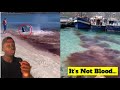 The Good Bad And The Disrespectful Ways Animals Protect Themselves