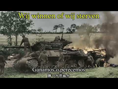 Stormvogels - Sub español (Resubido de Samurái del viento)